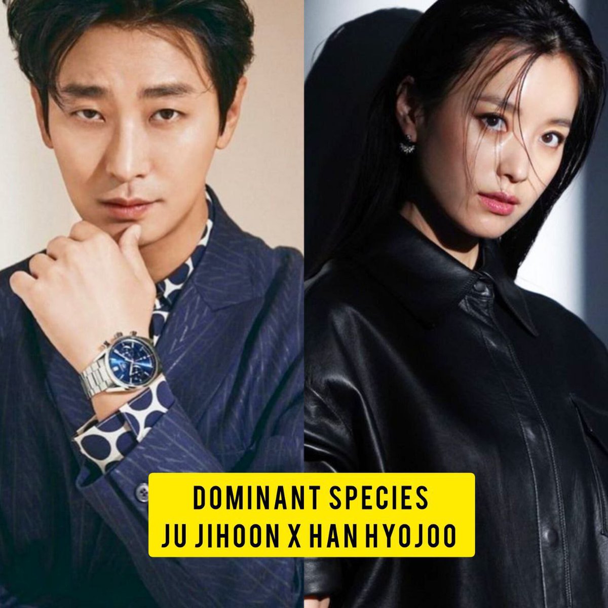 kdrama_menfess's tweet photo. Hari ini moving udah selesai, drama Han HyoJoo selanjutnya "Dominant Species" udah selesai syuting dan tinggal nunggu tanggal tayang aja. Dua pembasmi zombie disatuin disatuin nih who's excited 😍 •kdm• https://t.co/KAdLQr4ek7