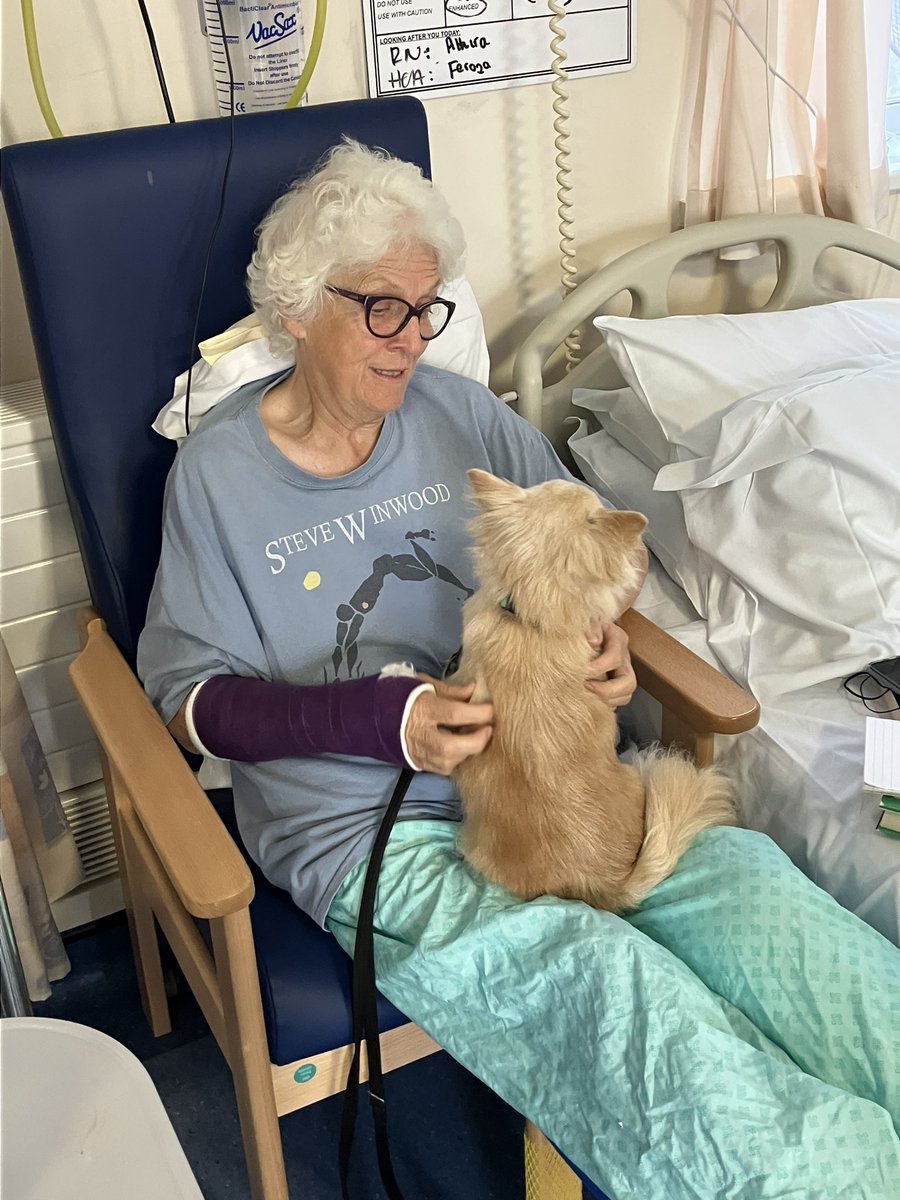 Ward22Therapy's tweet photo. We had Benny the dog giving cuddles and cheering up our patients. #wellbeing #patientsexperience https://t.co/uEGBJSv85t