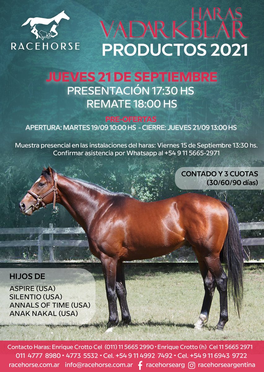 RacehorseArg's tweet photo. 🛑Ya están corriendo las preofertas para la Venta de Productos 2021 del @HarasVadarkblar 
Hijos de 
➡️Annals of Time
➡️Aspire
➡️Silentio
➡️Anak Nakal
Remate Jueves 21/9 desde las 18 horas
¡No te quedes afuera de los descuentos! https://t.co/DvmkHg9jkj