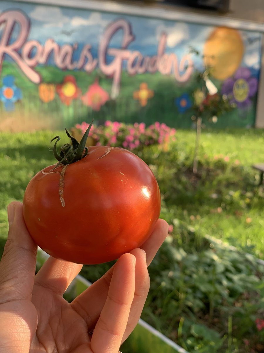 Liberty Avenue MS (19K662) tweet media