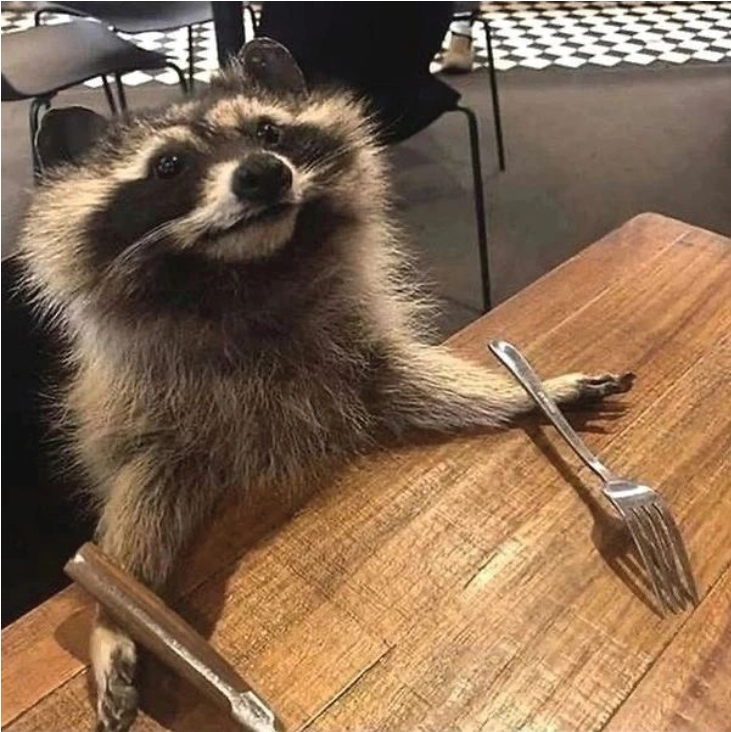 rabit21259947's tweet photo. Kid Manu plz ! 🍪😂😍 https://t.co/XuXIWA0qaW