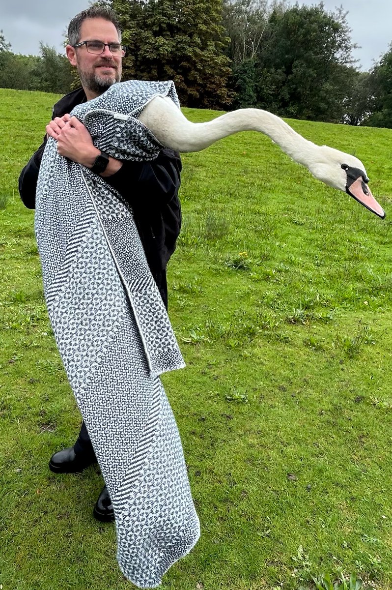 CannockPolice's tweet image. Our Rural &amp;amp; Wildlife PCSO’s assisted a Response Officer this morning in getting a swan to the nearest body of water after reports of it in the middle of the road.  The swan could of crash landed due to heavy rain 🌧️ 🦢 
#weekofaction #Ruralcrimematters #OpAppleorchid