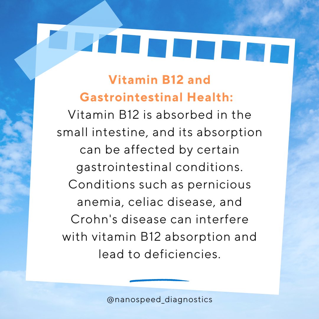 NanospeedD's tweet photo. Experience a breakthrough in Vitamin B12 testing! Nanospeed Diagnostics unveils an extraordinary rapid test, merging cutting-edge technology with scientific advancements⚡️. Stay ahead of the curve with real-time Vitamin B12 results in just 10 minutes! https://t.co/nPWKka6WFT