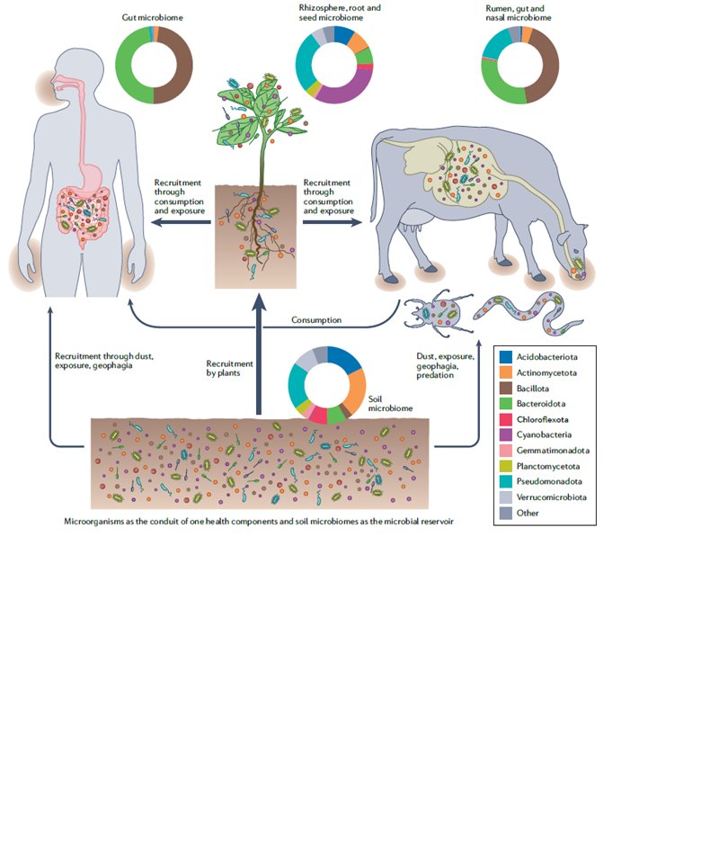 vandeHeijdenLab's tweet photo. Look forward to talk today on "Soil Microbiomes &amp; One Health" at the EMBL-EBI Agrimicrobiomics workshop for industry - science interaction. Great list of speakers including @KatieField4 &amp; @NoahFierer + many more! 

https://t.co/Ef7Bagh9qB

MH https://t.co/OHEWSZ5hwy