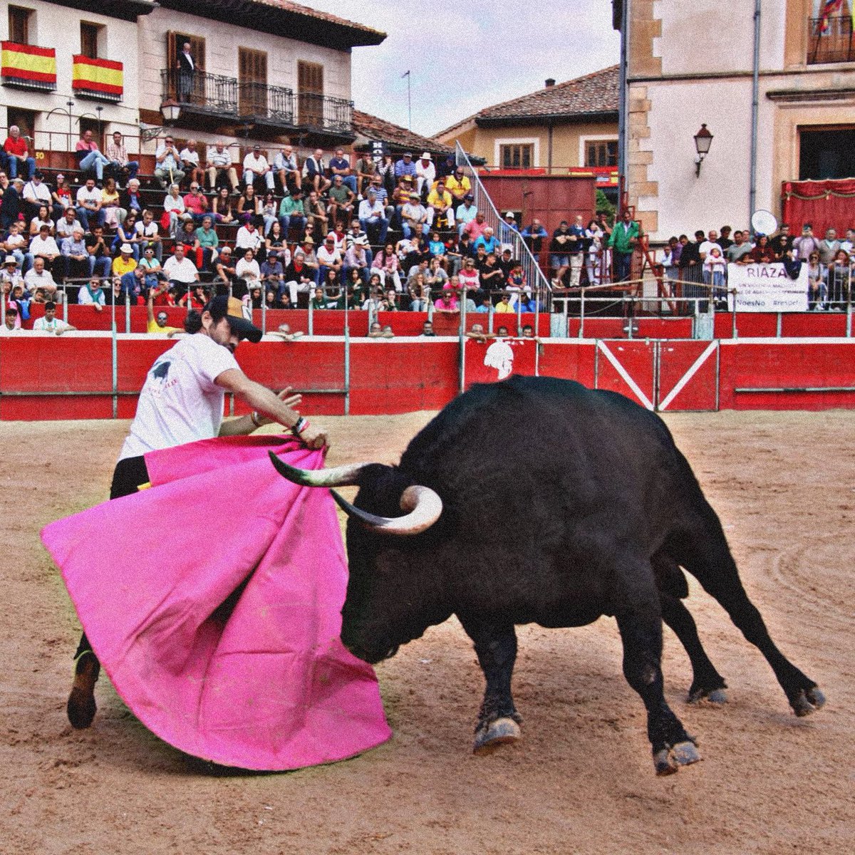 GRACIAS Cigarrero!! 
Gracias por esas embestidas que me regalaste y así poder sentirme ante mis vecinos, amigos y familia. Sigo más vivo que nunca, con más afición que nunca y más feliz que nunca. Gracias Riaza!! ❤️