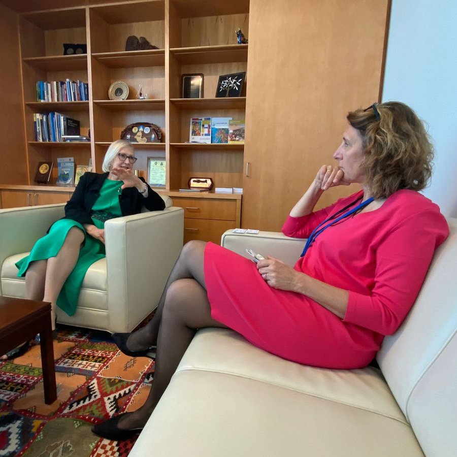 AA_stabilisiert's tweet photo. DG Deike Potzel consulted with @ElizabethSpehar at #UNGA78. Close cooperation between 🇩🇪 and PBSO on the Peacebuilding Commission, #WPS, #YPS and the #HDPNexus. Want to integrate #PrinciplesforPeace into our joint peacebuilding work. https://t.co/EIbpEJMs7I
