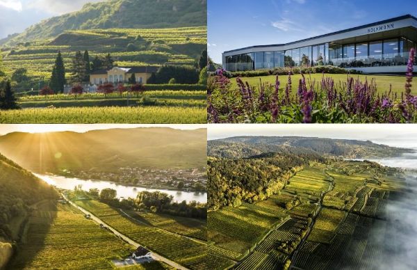 Twentschwijn's tweet photo. Grüner Veltliner proeven in Vasse

Op vrijdag 29 en zaterdag 30 September staan er diverse Grüner Veltliner`s op de proeftafel van verschillende producenten uit Oostenrijk en zelfs Italië.

O.a van:

- Weingut Josef Fischer
- Weingut Sepp Moser
- Weingut Markus Huber https://t.co/F8jXAK1KTJ
