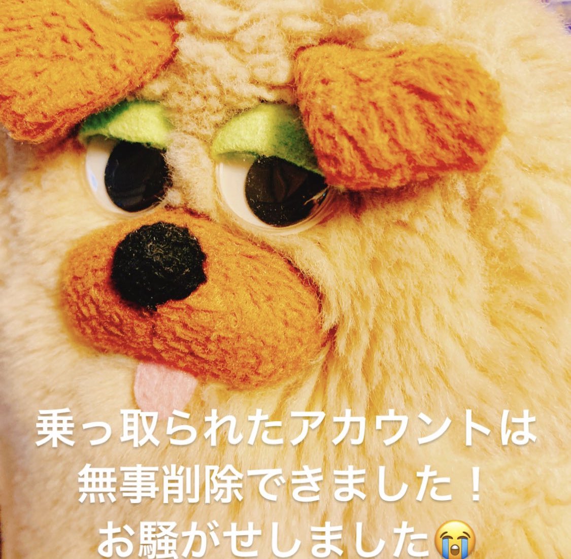 pico_room's tweet photo. こちらでもおしらせをば。
アカウント作り直しました！
買ってたスタンプたちは戻ってくるみたい❤️ https://t.co/3uOlQPkoqb