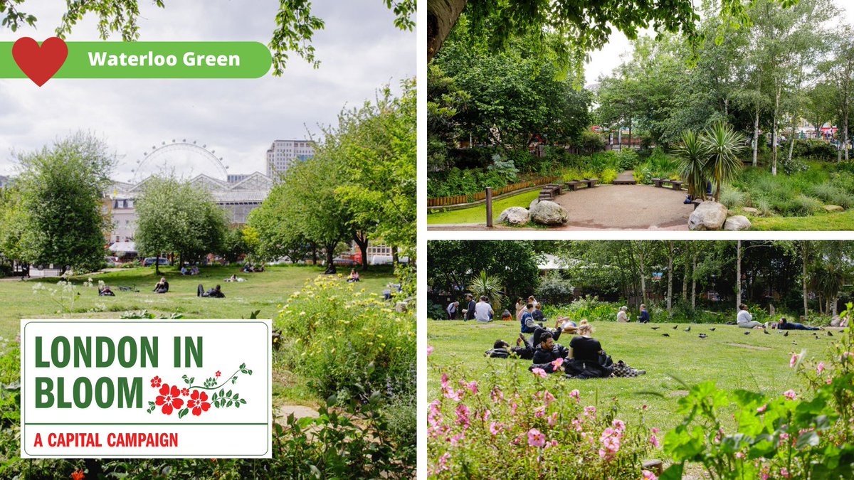 Tomorrow we find out what @LondonInBloomUK thought of our #WaterlooGreen. This award-winning space is a green oasis in the heart of bustling #Waterloo. With volunteers, we've transformed this park adding seating, paths & wildlife friendly plants too. Good luck dear green!