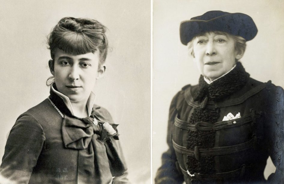 Selmerdine tweet media