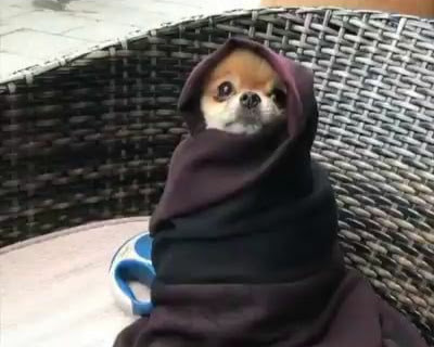 AlanMarcus15's tweet photo. We all have that one friend who is always cold https://t.co/4Eamd0ld2e