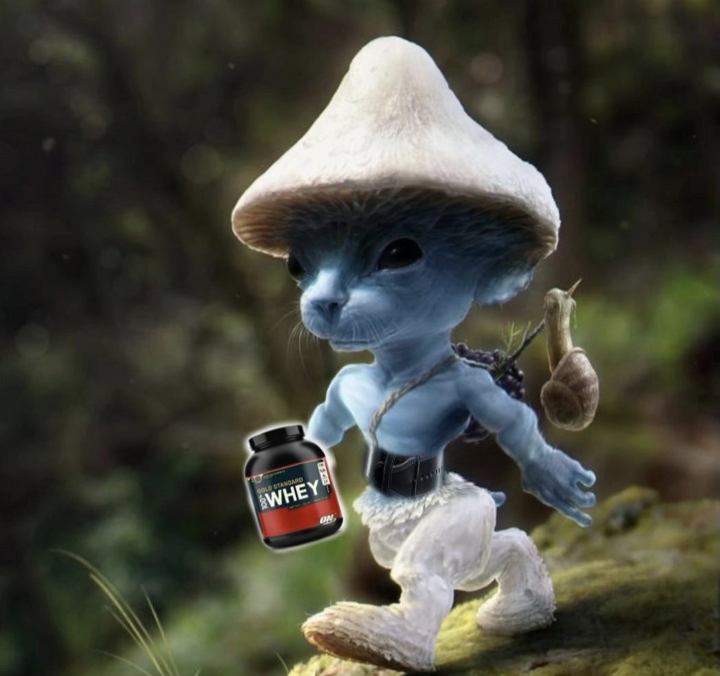 Smurfcatbsc's tweet photo. #шайлушай smurf cat got whey https://t.co/JhZ53VGCH7