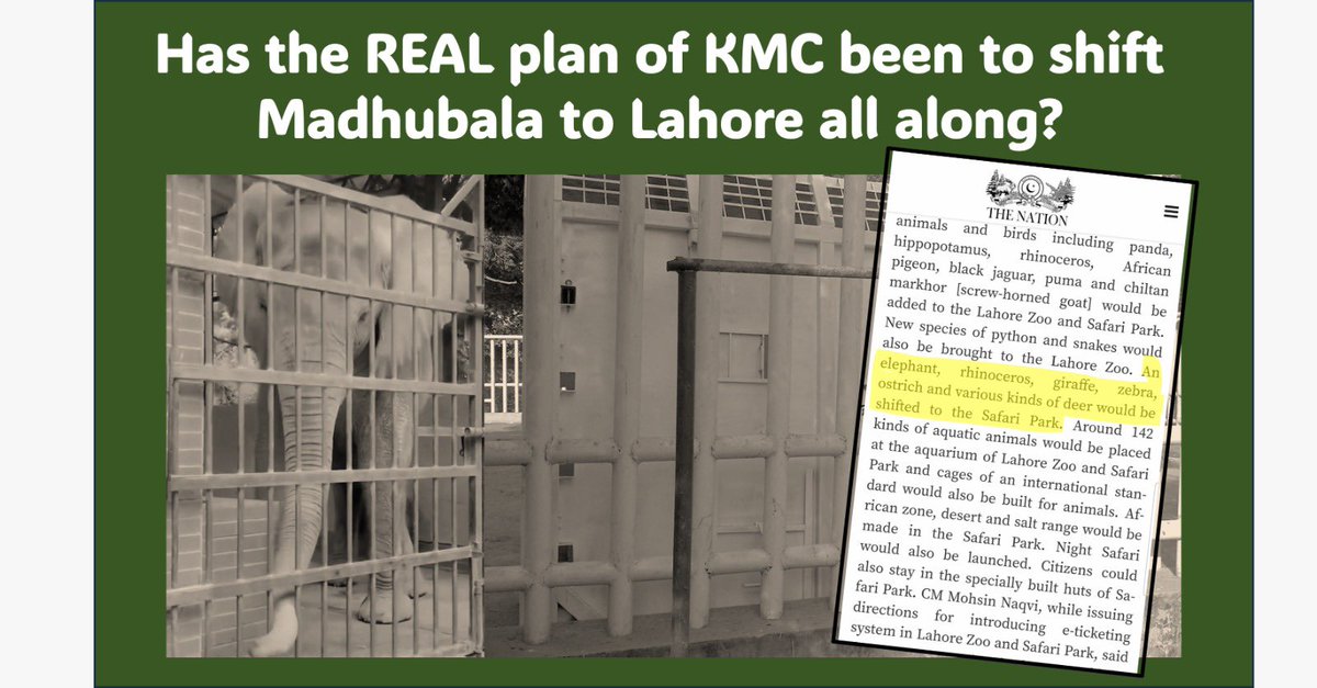 Karachi4Now3's tweet photo. It’s seems nothing ever happens for the better for 🐘🐘🐘 in #Karachi
It’s the 20th of September 2023
an no progress on the public/private partnership to make these 🐘lives better.
And let’s not forget other animals are suffering in Karachi and 🇵🇰 zoos
@murtazawahab1 https://t.co/mxfRLbXLHM