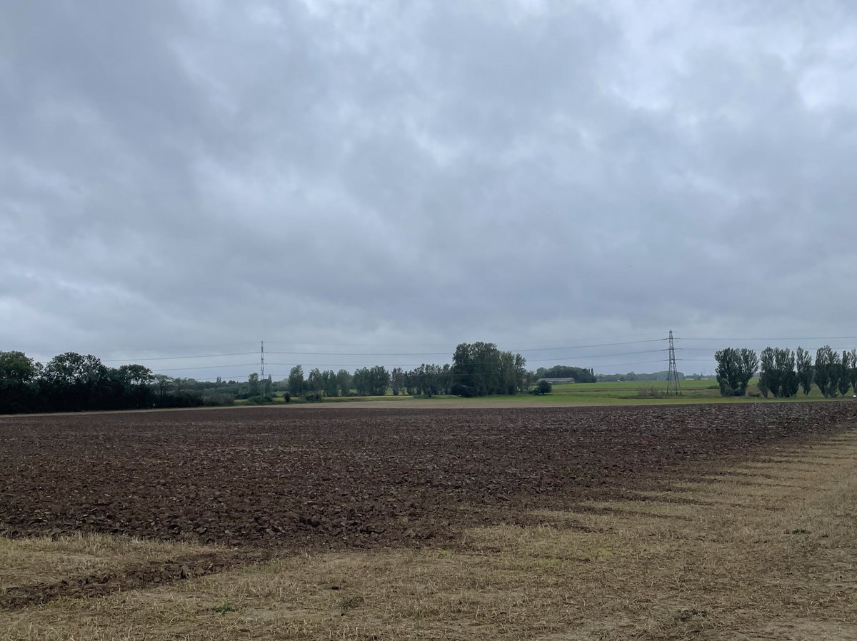 courtney_herms's tweet photo. A cold and dreary day marks the start of the new field trial for #NNF_INTERACT! Today we will sample bulk soil, before our four cultivars of wheat 🌾 are sown later in the week. https://t.co/ht5ZW0QXVY