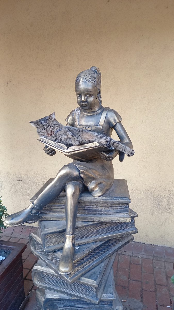 MeredithStoneh1's tweet photo. Every Girl-child deserves to be educated! https://t.co/trCmRuUpqD