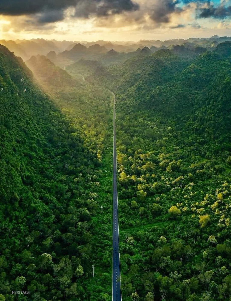 DanyalGilani's tweet photo. Cat Ba island Vietnam 🇻🇳🌳🏝️🎋
 #BeautifulDestinations https://t.co/aGf4guhonm