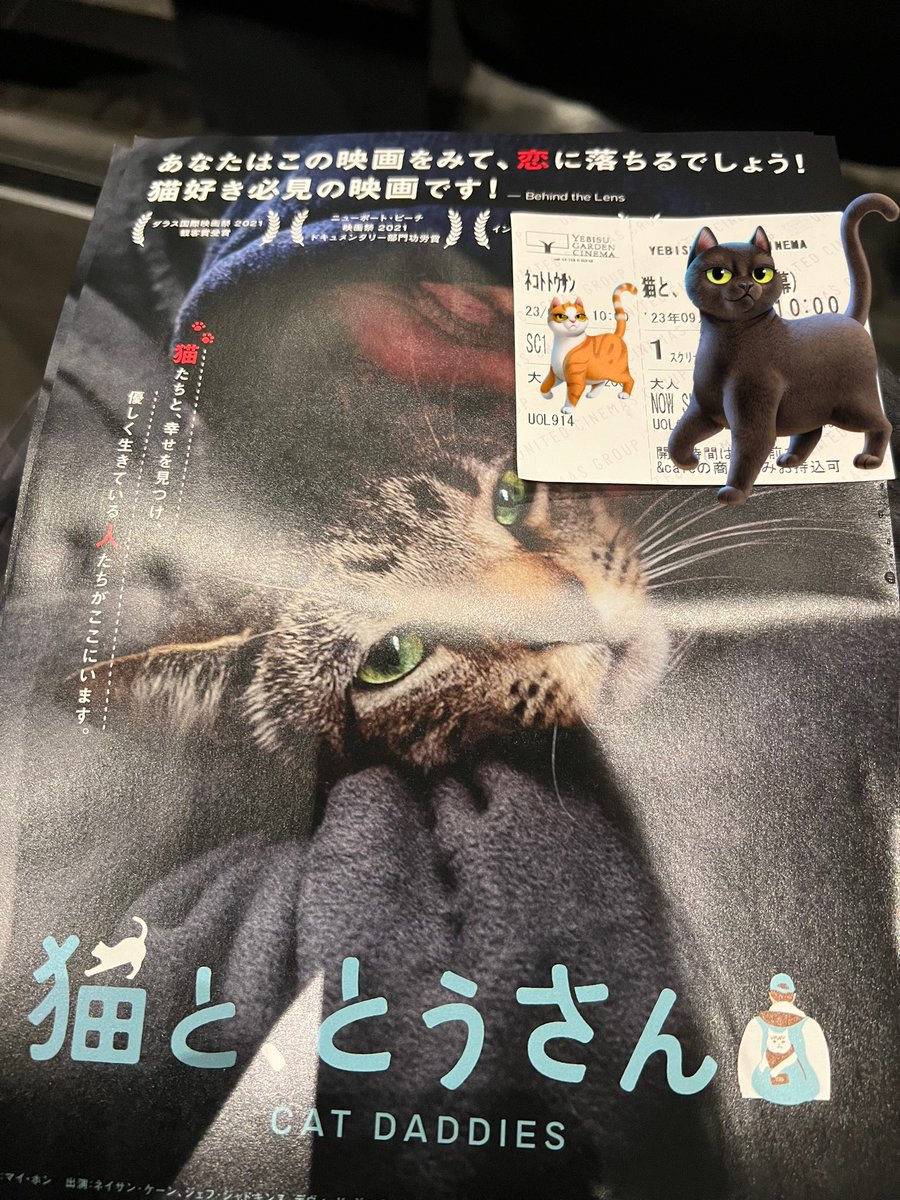 そういえば『猫と、とうさん』観てきました〜！
めっちゃよかった！
みんな絶対見たほうがいい！明日で終わりだけど😭
もっと前に知っていたらもう一度劇場で観たくらい良作です🐈
YGPシネマおしゃれだな😳

#猫ととうさん

#猫好きさんと繋がりたい  #猫のいる暮らし #アメリカンカール #キンカロー