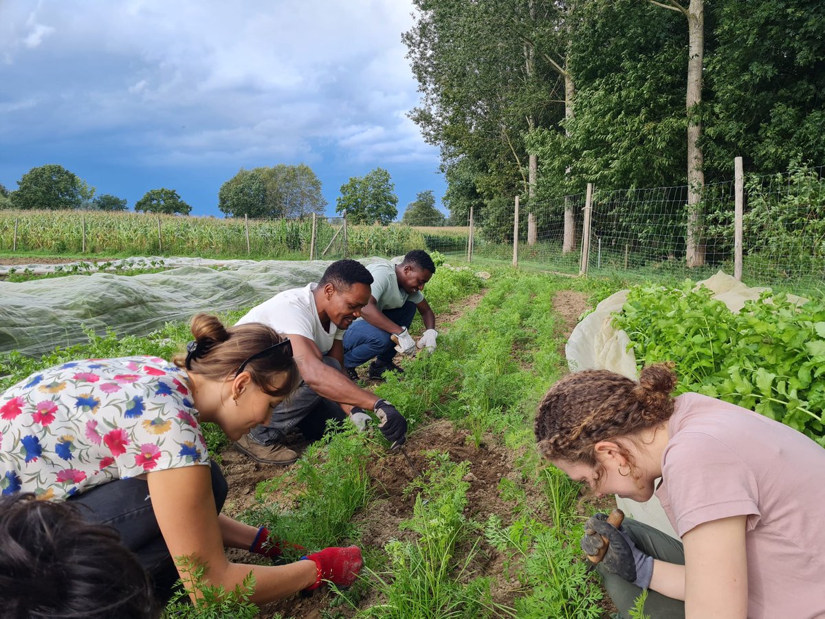 bioeconKUL's tweet photo. This week, our division had a fantastic teambuilding activity at CSA De Witte Beek! We enjoyed a field tour, and even got our hands dirty 👨‍🌾🌱Afterwards, we had a delicious dinner in the barn. https://t.co/OAg3jnH5CU