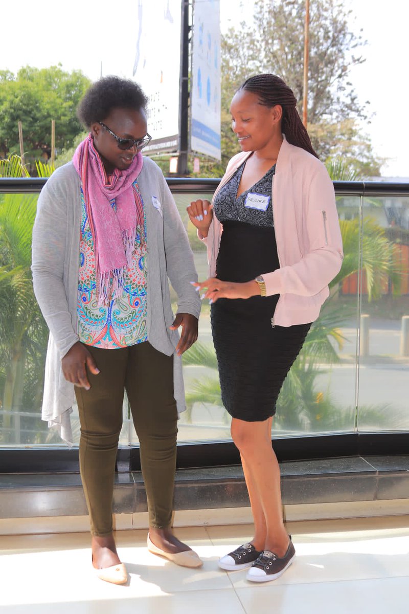 Transform Launch - Kenya
Understanding Technology- Facilitated Gender Based Violence (TFGBV) and it's Impact on Women’s Political and Civil Participation...