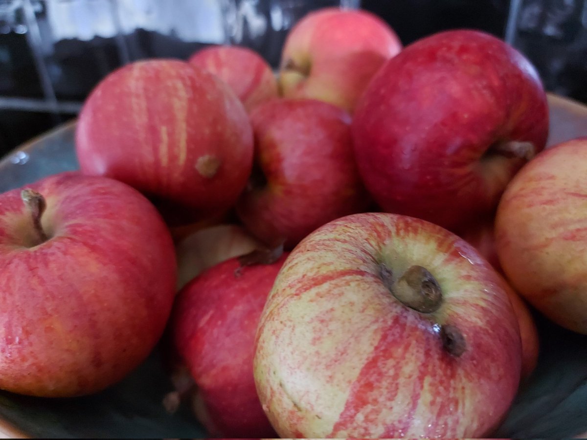 MarleenPrincen's tweet photo. Lekker verse appeltjes 🍎🍎🍏 https://t.co/RlQqGB2ZZs
