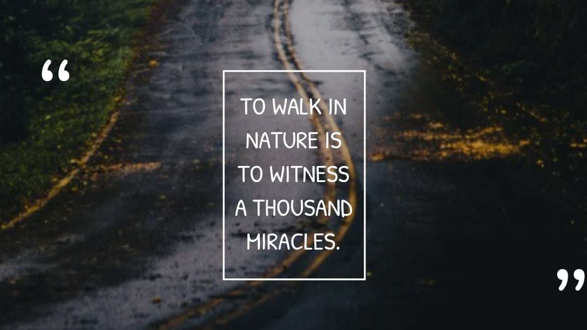 Elopens01's tweet photo. "To walk in nature is to bear witness to a thousand miracles. 🌿🌼 Embrace the beauty of our world and let it inspire awe within you. #NatureWonders #MiraclesEveryday" 🍃🌟 https://t.co/NSruymU19V