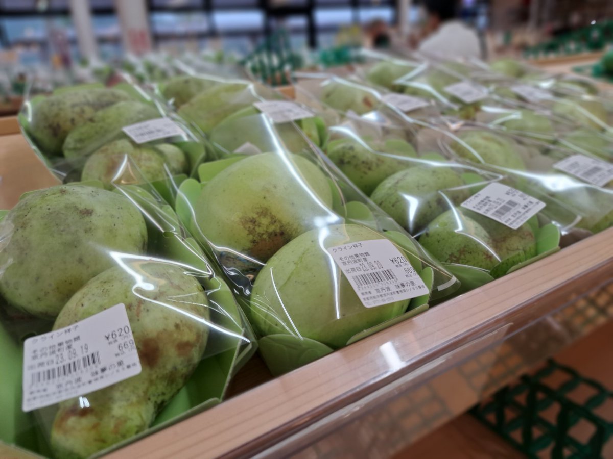_micohoney's tweet photo. みみ「京丹波の秋がきたぞ～！！🍁」
ここ「栗🌰や黒枝豆、ポポーや葡萄など、味夢の里の美味しいものが勢揃いです💕」
みみ「見てるだけで楽しくなっちゃうよ～💕」 https://t.co/mVs439MgT1