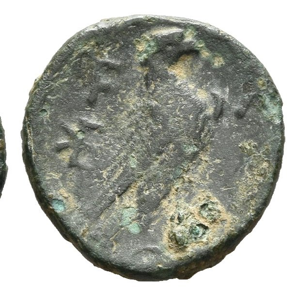 Das numismatische Team des <a href="/dai_weltweit/">DAI</a> in #olympia : in diesem Jahr wieder mit dabei ist Fabienne Karl, die gerade die Fundmünzen des Stadionsüdwalls bearbeitet. Darunter dieser stolze #adler des Zeus aus Elis.