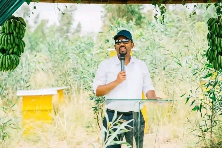 ምስራቅ አፍሪካ ላይ አደጋ ደቅኗል የተባለው መሪ ዛሬ ኢትዮዽያ ውስጥ ለተፈጠረው የሰበአዊ መብት ጥሰትና፣ የጅምላ ግድያ፣ የጅምላ ዘረፋና፣ የጅም ማፈናቀልን፣ ሦስተኛ አመቱ ሊሞላ ቀናቶች በቀሩት የዕርስበርስ ጦርነት ጉዳይ የአለም
መሪዎች