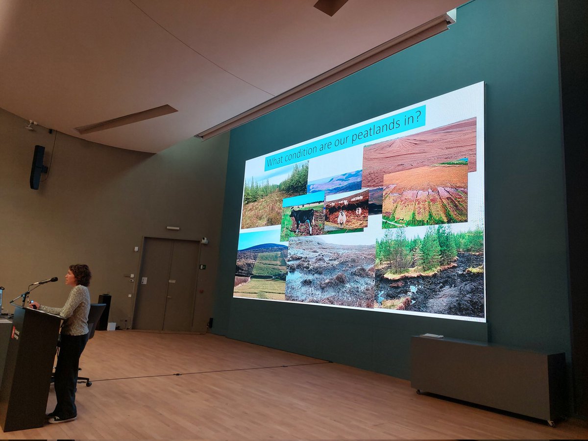 CarePeat's tweet photo. @seewilkie form @CIEEMnet on restoring the future

'If you have it, don't destroy it'

Peatlands are ready and waiting for restoration! https://t.co/VTHajvEf51