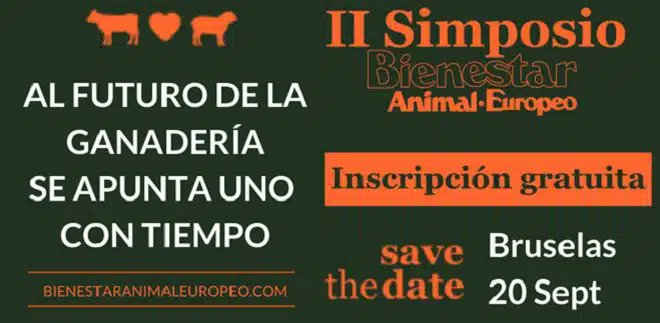 mganadero's tweet image. AGENDA 🗓️ Bruselas acoge el II Simposio internacional sobre Bienestar Animal Europeo. 🇪🇺

📅 20 de septiembre
📍 Sparks Meeting (Bruselas)

Más información ⬇️
agronegocios.es/agronegocios/a…

#Ganadería #BienestarAnimal #Interovic #JTT #EAAP 

@Provacuno @seproba @WOAH