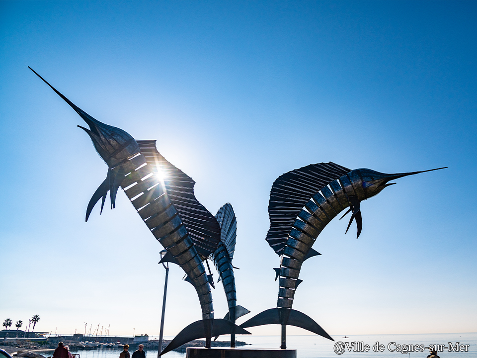 VilledeCagnes's tweet image. La ville de #cagnessurmer vous souhaite une belle journée ! 😎

Chaque matin une photo pour découvrir ou redécouvrir les paysages de notre commune ! #regate

📸 Ville de Cagnes-sur-Mer
#nature #goodmorning #sculpture #crosdecagnes #autumn #pictureoftheday #frenchriviera