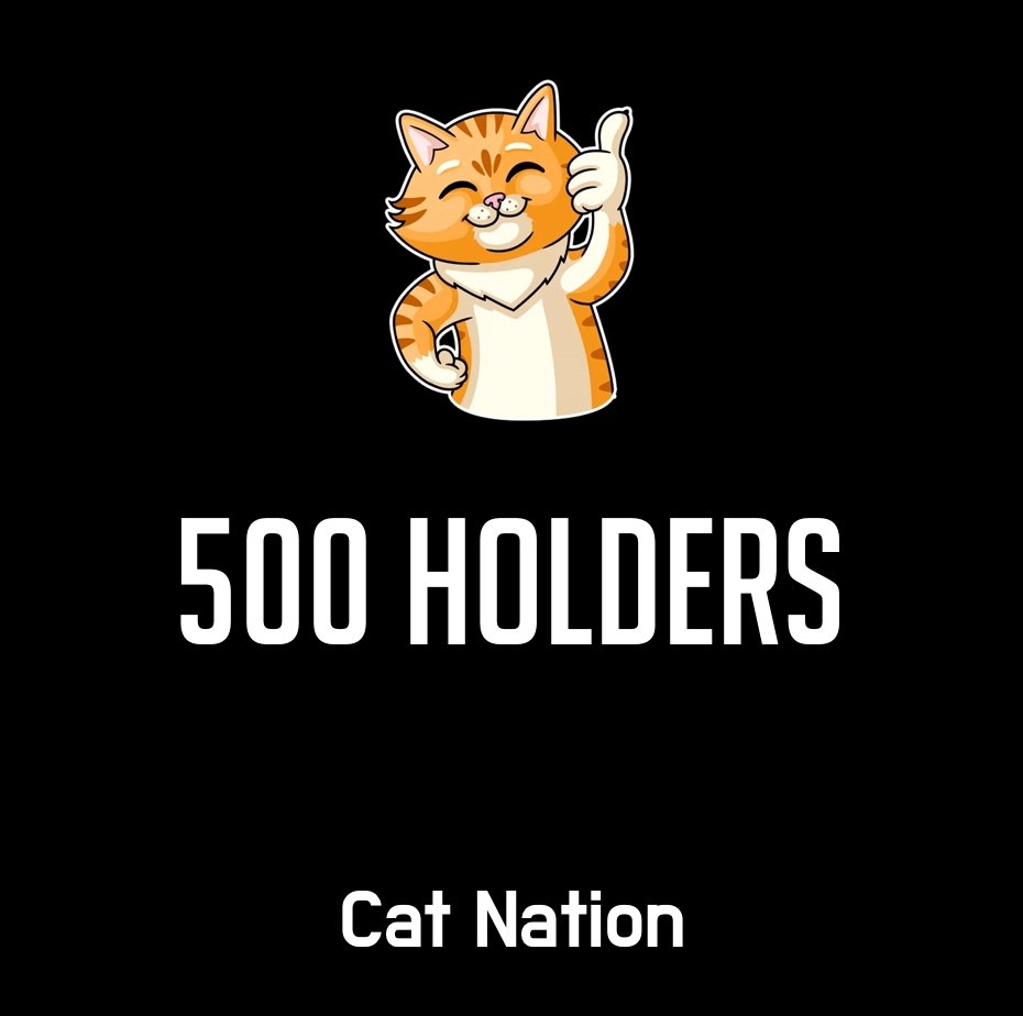 Cat Nation tweet media