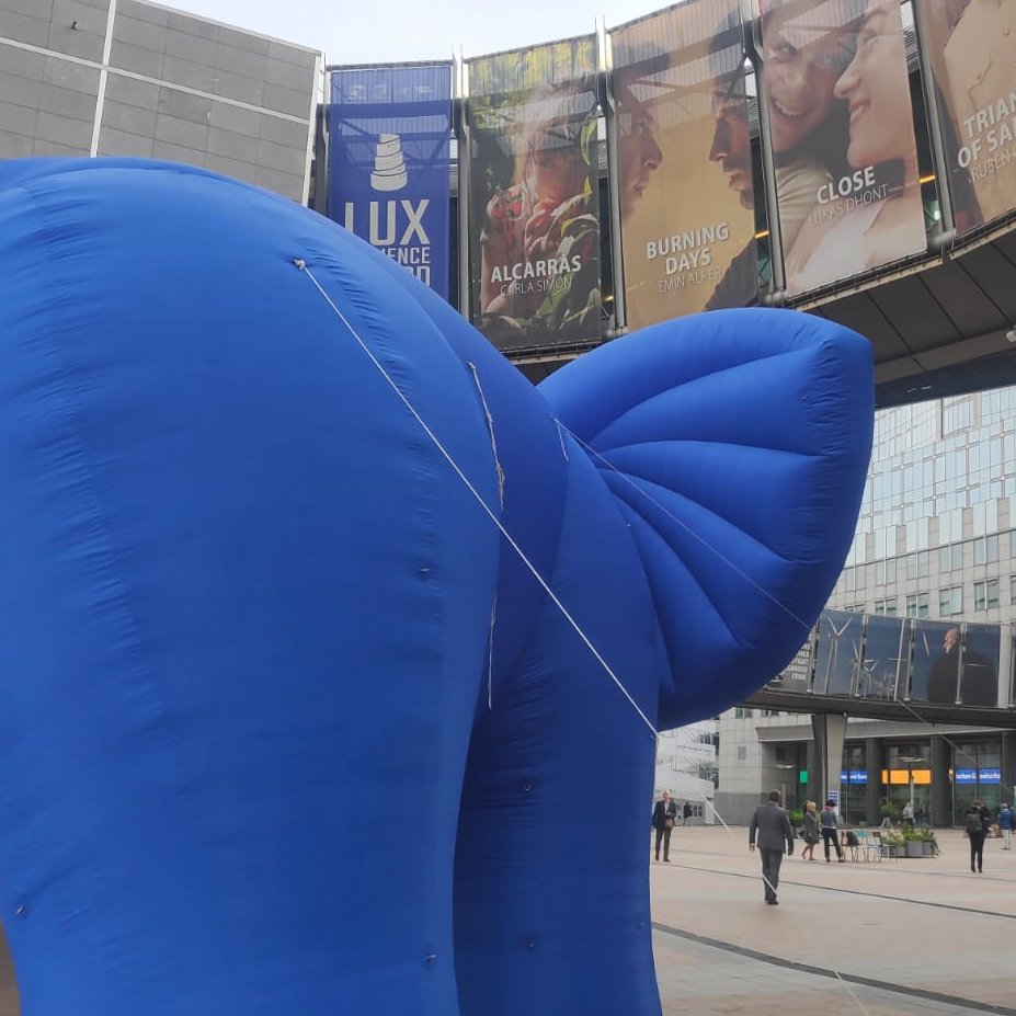 DG MEME 🇪🇺 tweet media