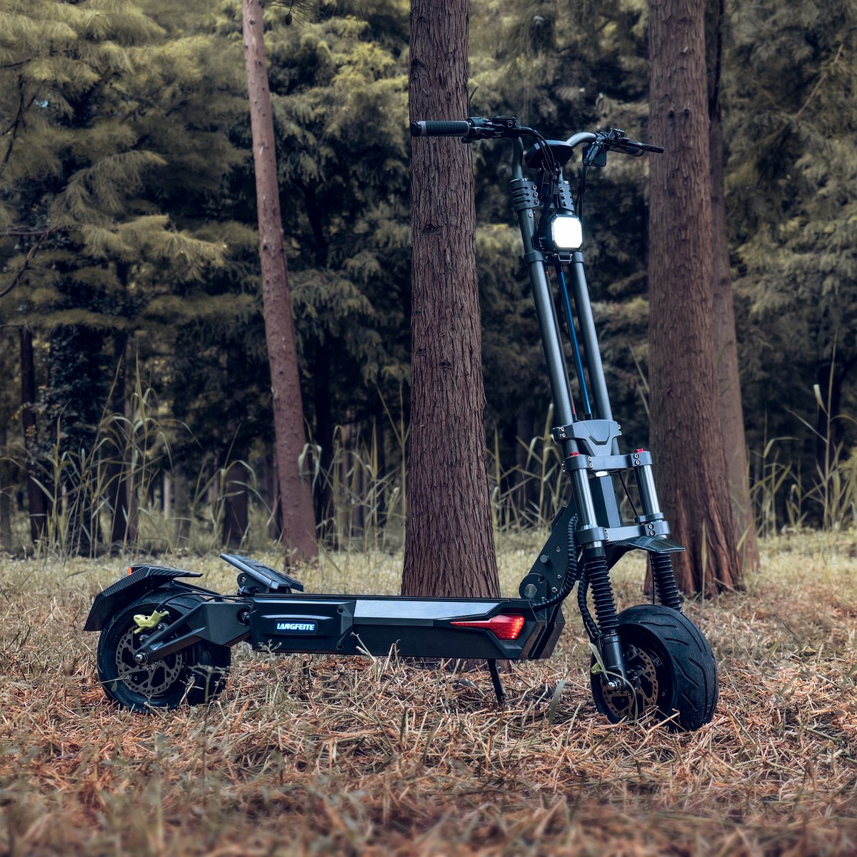 Langfeite tweet media