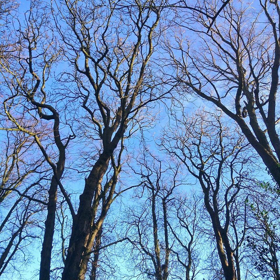 I'm at the other place, where skies are blue. User name simonguy.