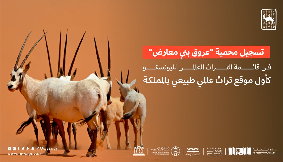 MOCSaudi's tweet photo. سمو وزير الثقافة @BadrFAlSaud، رئيس اللجنة الوطنية للتربية والثقافة والعلوم رئيس مجلس إدارة هيئة التراث؛ يعلن نجاح المملكة في تسجيل محمية #عروق_بني_معارض في قائمة التراث العالمي لمنظمة اليونسكو.

#رؤية_السعودية_2030 
#وزارة_الثقافة https://t.co/I2dkrM0vBW