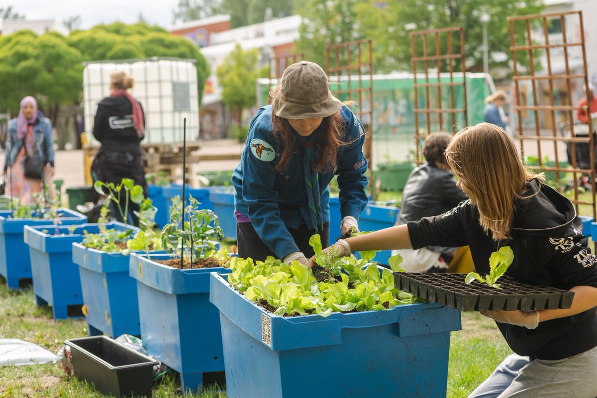 Circular Green Blocks tweet media