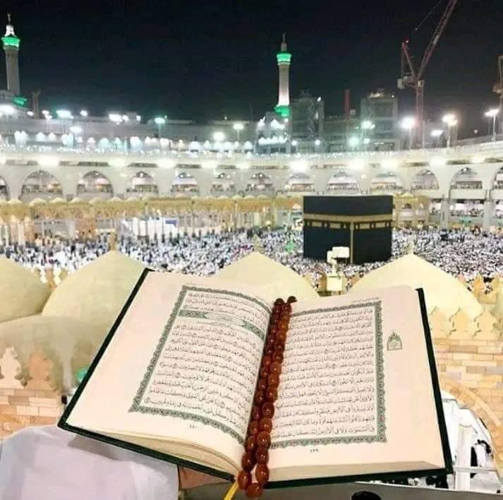 RAlgzole's tweet photo. وامنُن علينا بجلسةٍ هنا، تُنسينا مُر هذه الأيام. 💗 https://t.co/tcefvrn81f