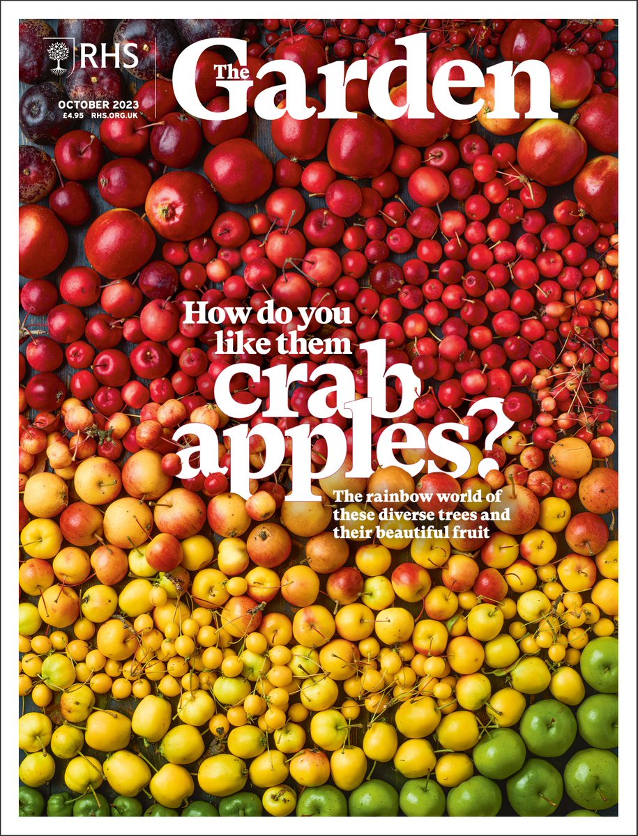 Tom Howard (@tomahoward) on Twitter photo October issue, cover shot by <a href="/jasonphotos/">Jason Ingram</a>, autumnal words within by Nick Dunn, <a href="/lialeendertz/">Lia Leendertz</a>, Katy Elton, <a href="/nicola_oakey/">Nicola Oakey</a>, <a href="/NigelDunnett/">Nigel Dunnett</a>, <a href="/CEMatterson/">Clare Matterson</a>, <a href="/Matthew_Pottage/">Matthew Pottage</a>, <a href="/RacheldeThame/">Rachel de Thame</a> - and more! I really do like them crab apples. October issue, cover shot by <a href="/jasonphotos/">Jason Ingram</a>, autumnal words within by Nick Dunn, <a href="/lialeendertz/">Lia Leendertz</a>, Katy Elton, <a href="/nicola_oakey/">Nicola Oakey</a>, <a href="/NigelDunnett/">Nigel Dunnett</a>, <a href="/CEMatterson/">Clare Matterson</a>, <a href="/Matthew_Pottage/">Matthew Pottage</a>, <a href="/RacheldeThame/">Rachel de Thame</a> - and more! I really do like them crab apples.