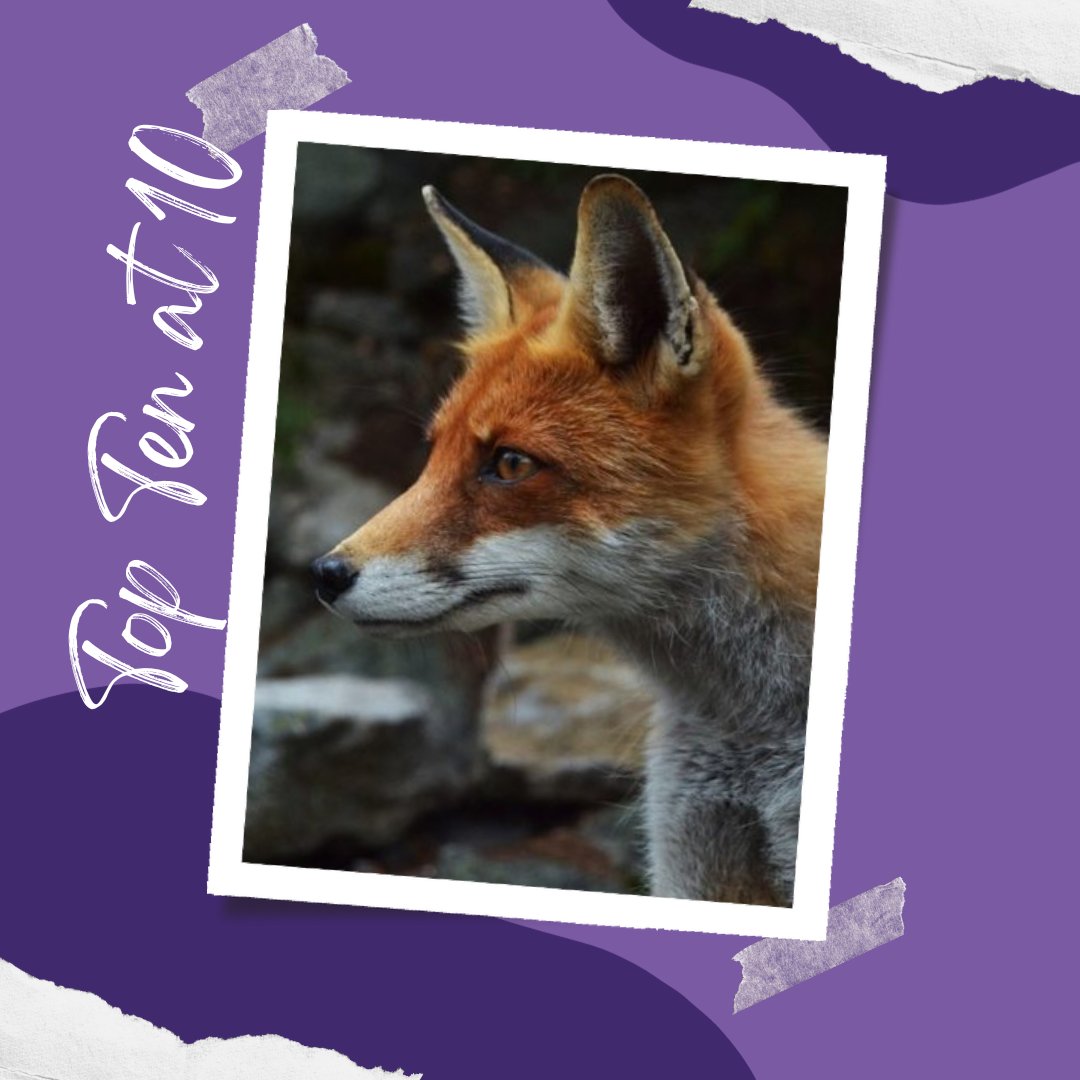 Today’s Top 10 at 10 is from the year Fox Hunting was outlawed in the UK, but what is the year?