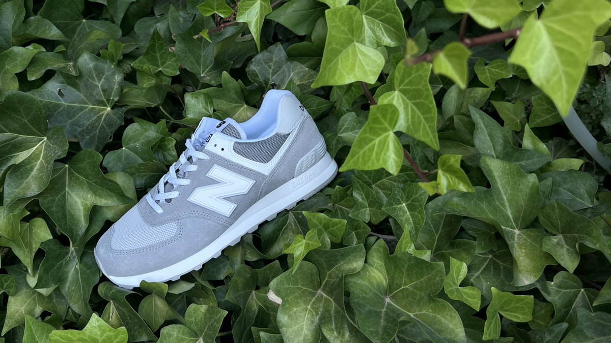 Zacaris.com tweet media