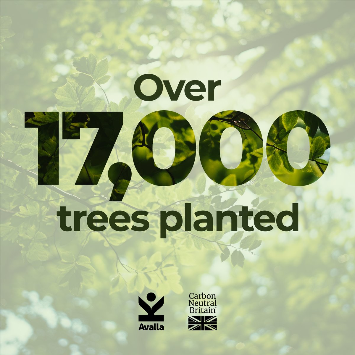 LoveAvalla's tweet photo. At Avalla, we're dedicated to making a positive environmental impact. For every purchase you make, we plant a tree, contributing to a more sustainable future. Join us in this eco-friendly journey! 

#livelife #loveavalla #brand #ourfuture #treeplant #environment #sustainability https://t.co/cvFbFy4PSa