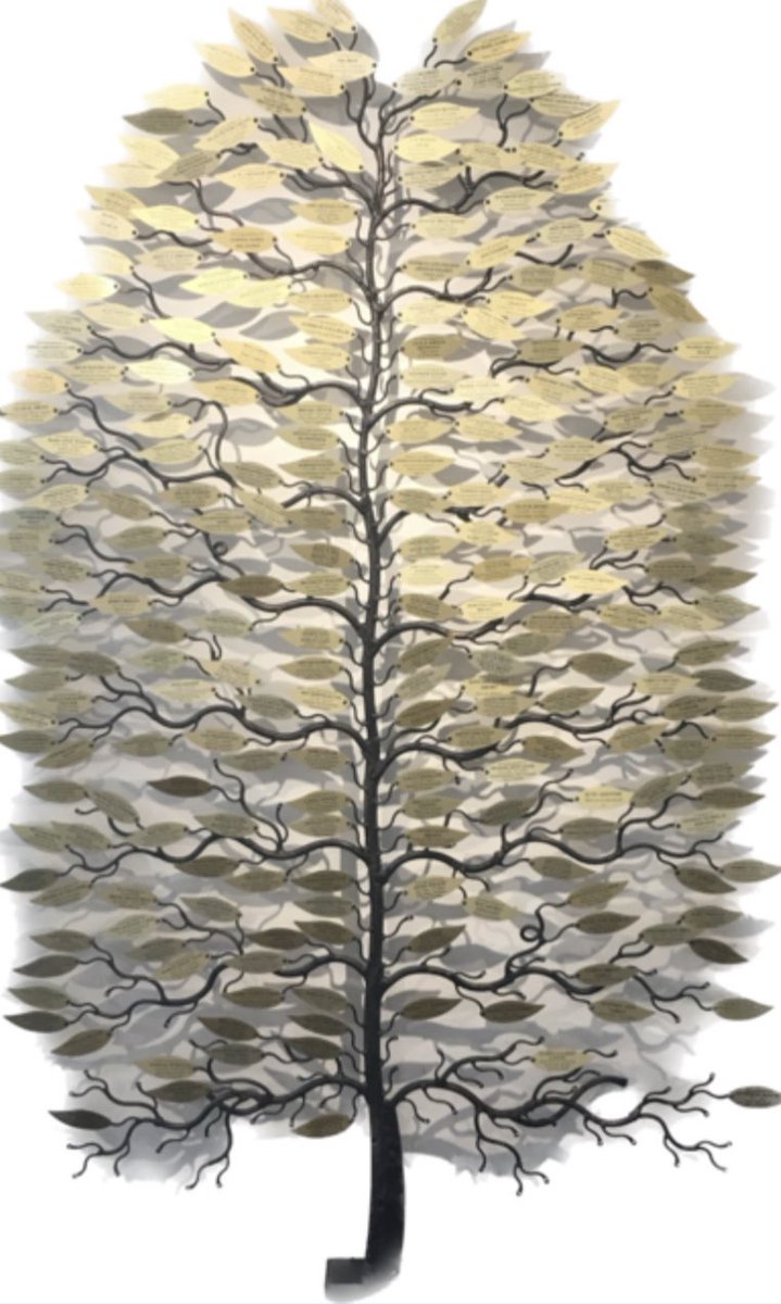 Chesterfield Royal Hospital NHS FT tweet media