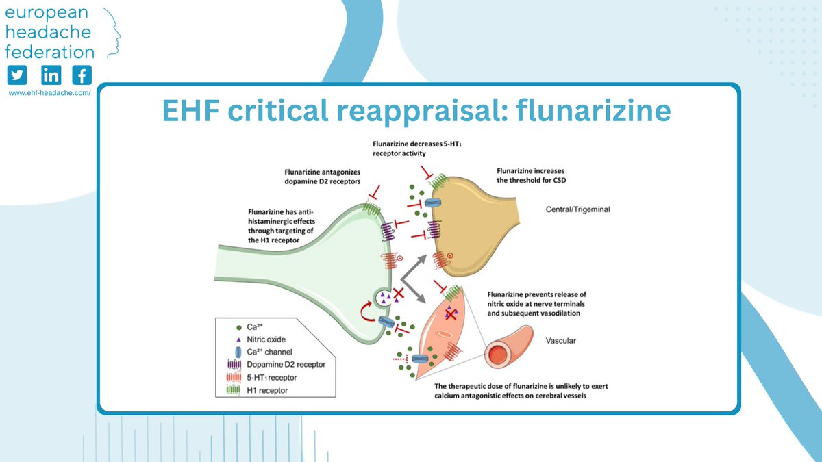 Does flunarizine worth level A evidence as first-line #migraine #preventative? Only 5 #trials showed the drug superiority over placebo in small groups of patients and for a limited observation period. Large-scale studies are needed.
Link: bit.ly/48gcElX