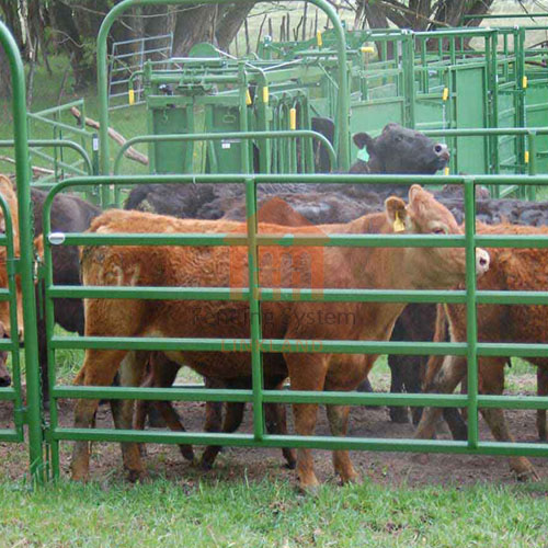 wangxu667886's tweet photo. Cattle fencing plays an important role in herd management, pasture management, disease control, reproductive management, and cattle behavior and welfare in pastures. Choose us to give you the best service.
📲 WhatsAPP:+86 135 8232 7212
💻Web: https://t.co/yOnzUaOaGh
#cattlepen https://t.co/23n6IRcKb8