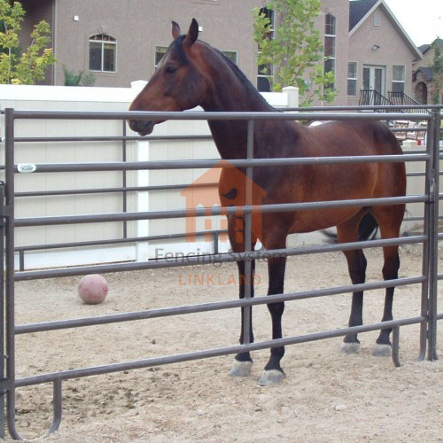 wangxu667886's tweet photo. Cattle fencing plays an important role in herd management, pasture management, disease control, reproductive management, and cattle behavior and welfare in pastures. Choose us to give you the best service.
📲 WhatsAPP:+86 135 8232 7212
💻Web: https://t.co/yOnzUaOaGh
#cattlepen https://t.co/23n6IRcKb8