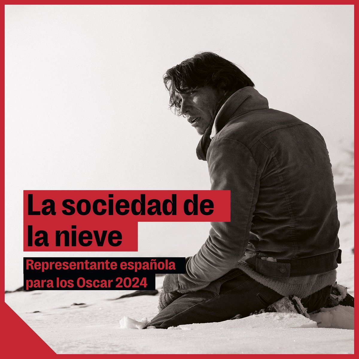 🔴 La sociedad de la nieve, de J. A. Bayona, representará a España en los Oscar 2024.