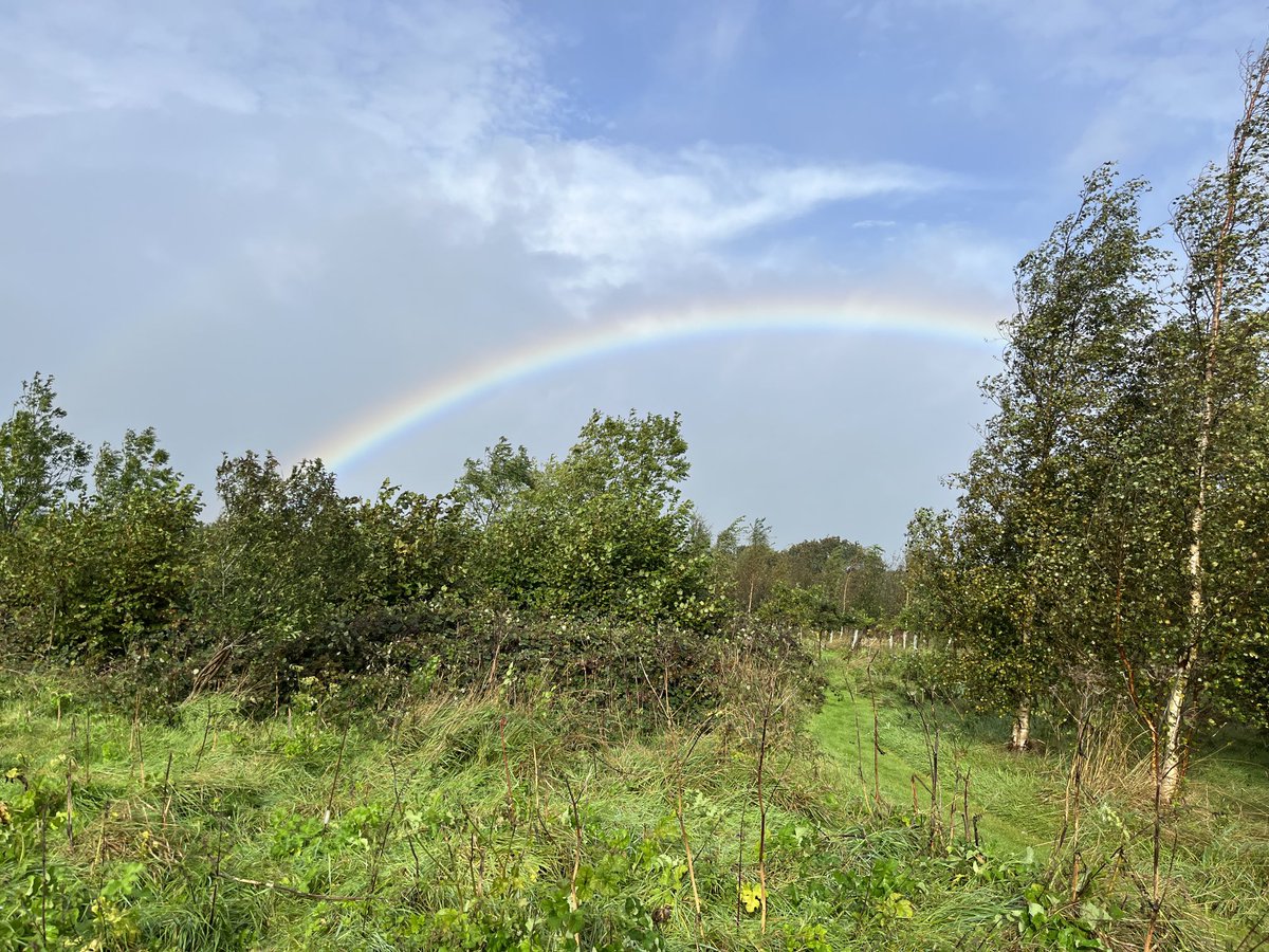 It’s actually quite nice at BCW at the minute.