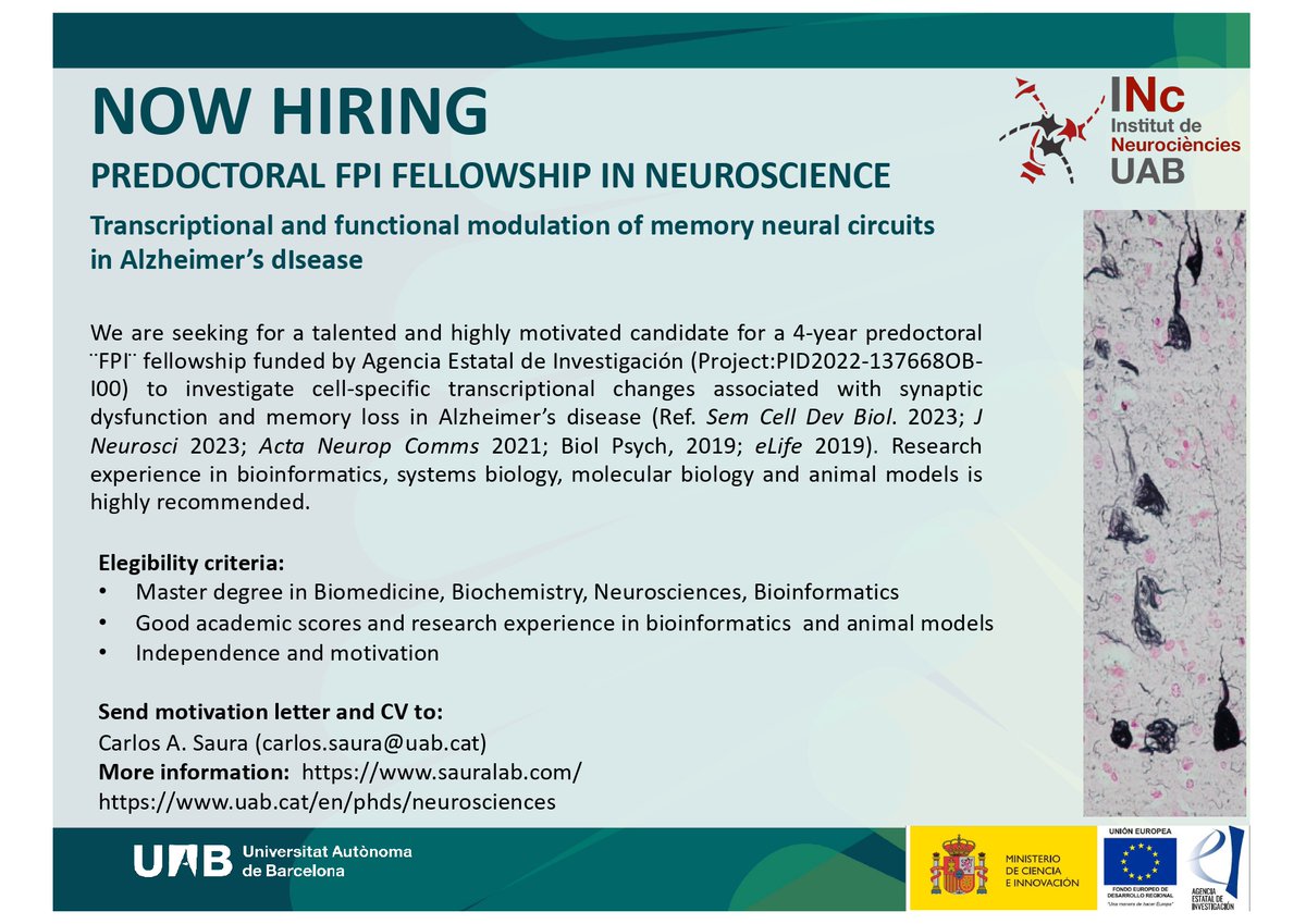 Sauralab (@sauralab) on Twitter photo We are NOW HIRING a highly motivated predoctoral student to investigate cell-specific transcriptional changes linked to synaptic dysfunction and memory loss in #Alzheimer disease.Funded by FPI program <a href="/AgEInves/">Agencia Estatal de Investigación</a> <a href="/CienciaGob/">Ministerio de Ciencia, Innovación y Universidades</a> Apply now <a href="/sauralab/">Sauralab</a> <a href="/CarlesSaura/">Carles A. Saura</a>
👉carlos.saura@uab.cat We are NOW HIRING a highly motivated predoctoral student to investigate cell-specific transcriptional changes linked to synaptic dysfunction and memory loss in #Alzheimer disease.Funded by FPI program <a href="/AgEInves/">Agencia Estatal de Investigación</a> <a href="/CienciaGob/">Ministerio de Ciencia, Innovación y Universidades</a> Apply now <a href="/sauralab/">Sauralab</a> <a href="/CarlesSaura/">Carles A. Saura</a>
👉carlos.saura@uab.cat