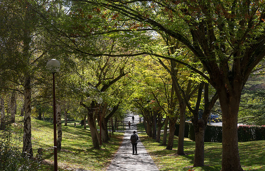 El campus de la Universidad, reconocido por sexto año con el premio internacional <a href="/GreenFlagAward/">GreenFlagAward</a>.
Un curso más ha sido acreditado como una de las mejores zonas verdes 🌲 🌳 
👏 👏 👏 👏 
👉 unav.edu/noticias/-/con…